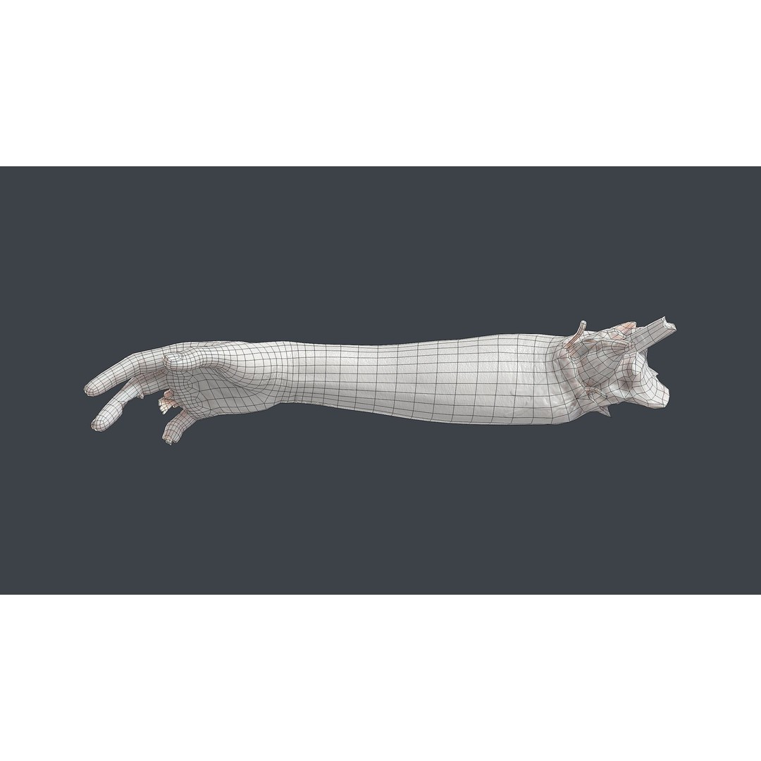 Severed Hand 3D Model – Low Poly Horror Asset, PBR Textures - View 15