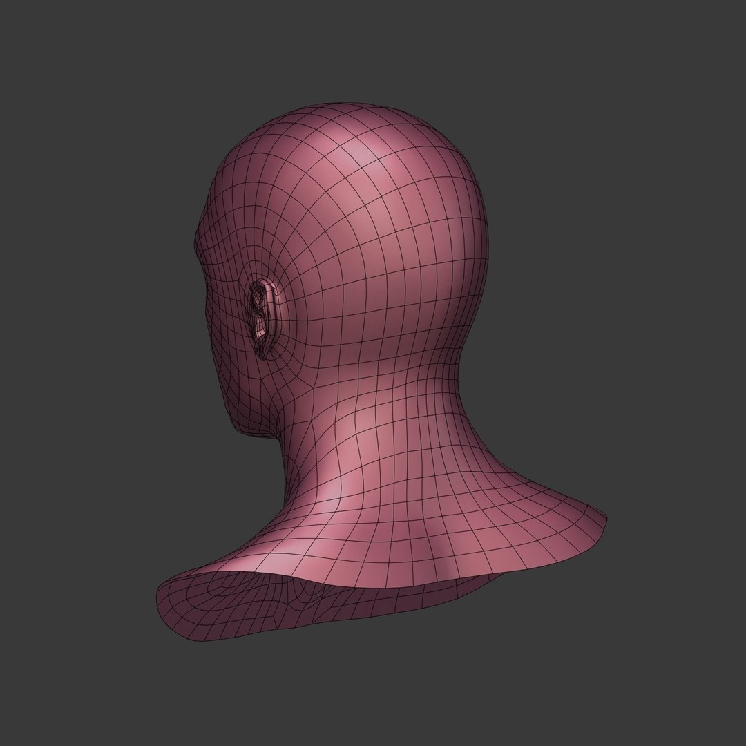Realistic Man Head 3D Model – Low Poly Character Mesh, FBX - View 11