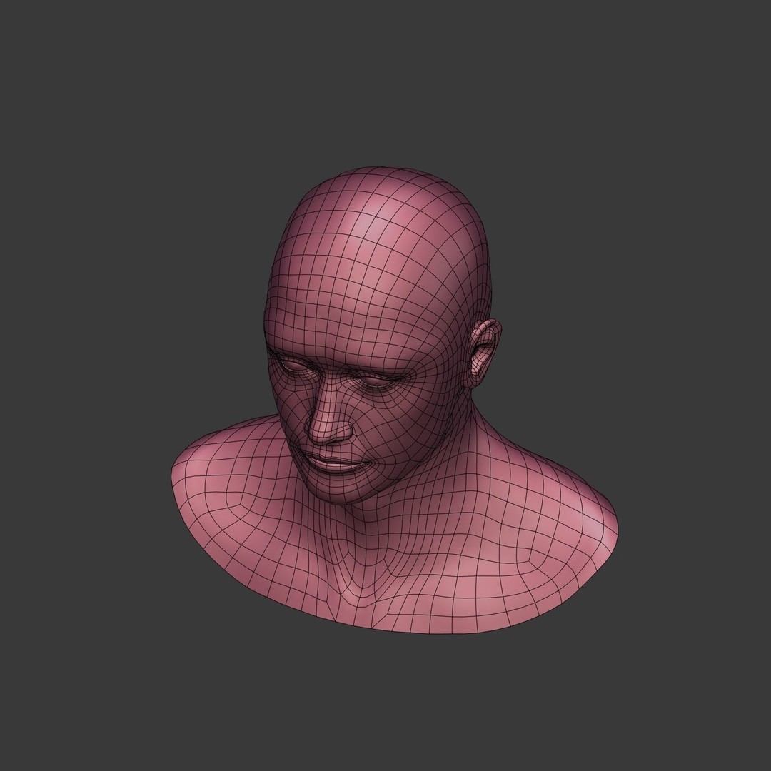 Realistic Man Head 3D Model – Low Poly Character Mesh, FBX - View 13