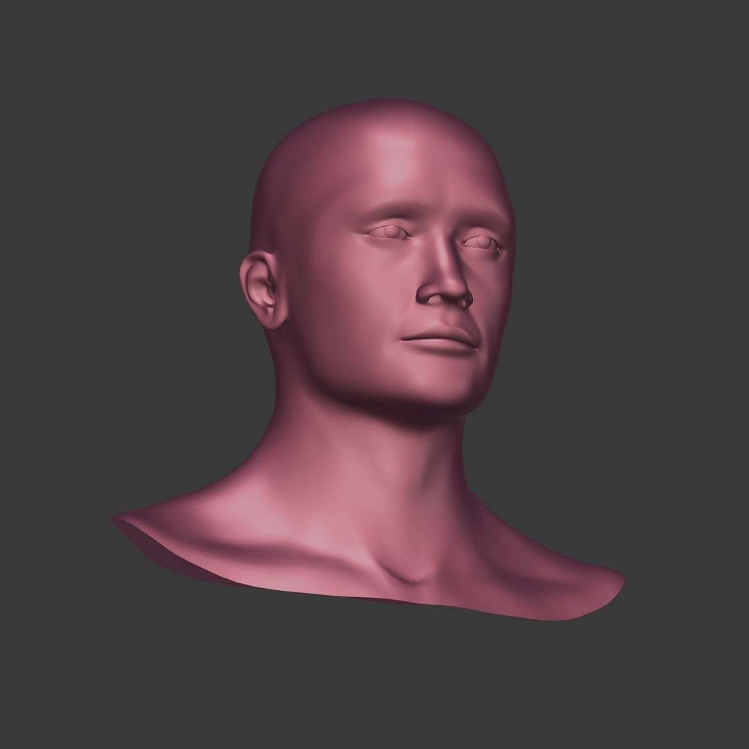 Realistic Man Head 3D Model – Low Poly Character Mesh, FBX - View 14