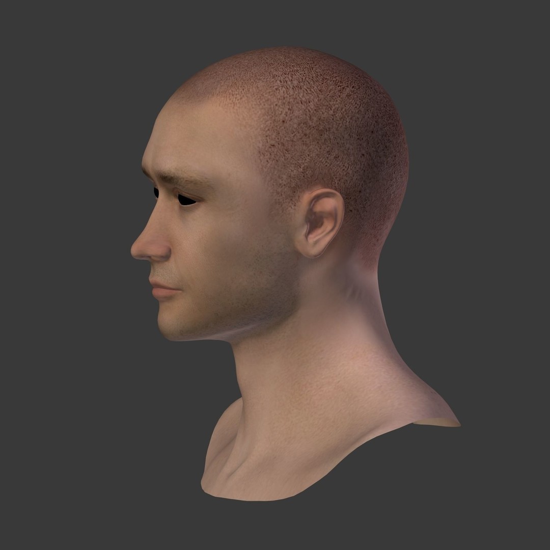 Realistic Man Head 3D Model – Low Poly Character Mesh, FBX - View 17