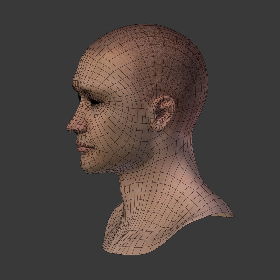 Realistic Man Head 3D Model – Low Poly Character Mesh, FBX - View 18