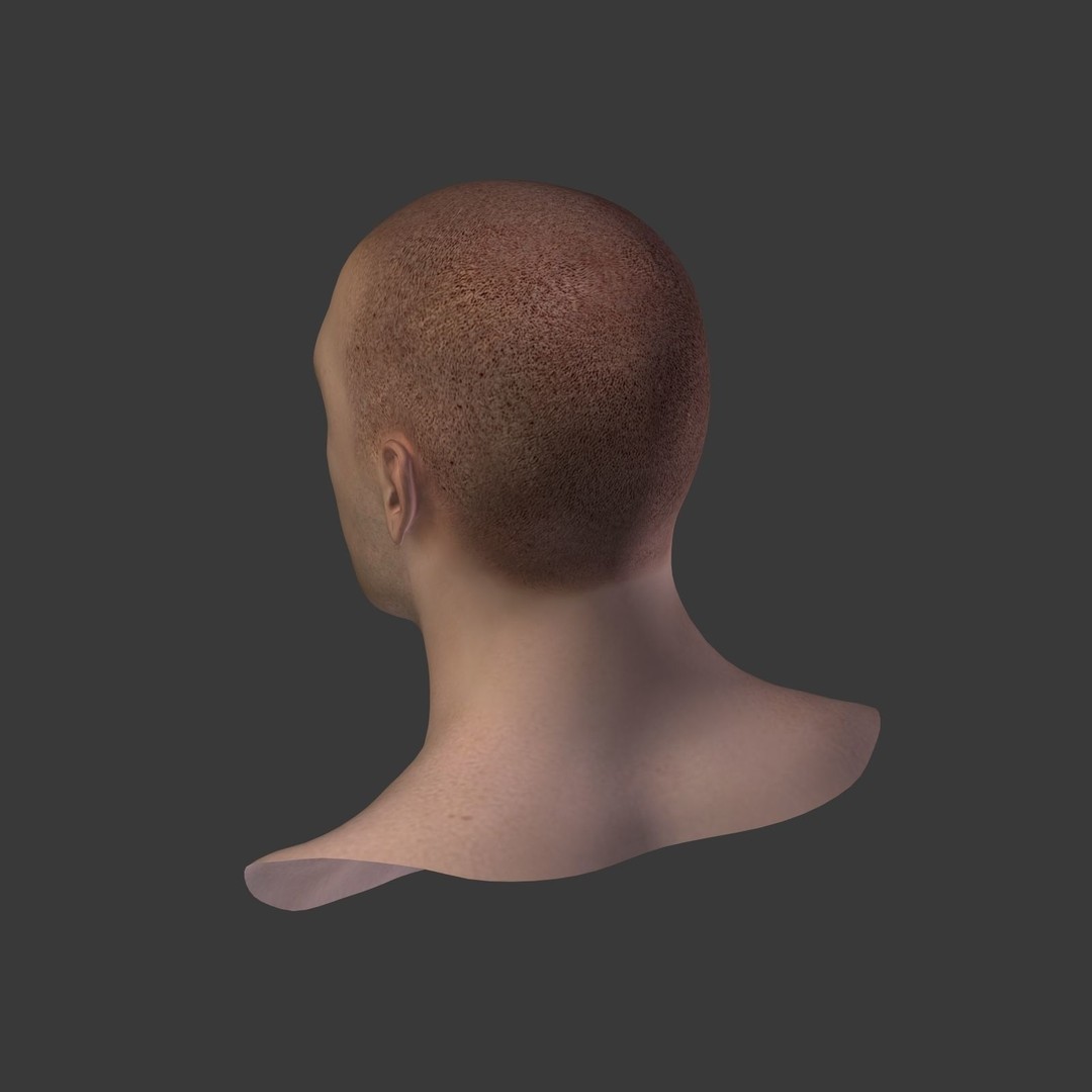 Realistic Man Head 3D Model – Low Poly Character Mesh, FBX - View 19