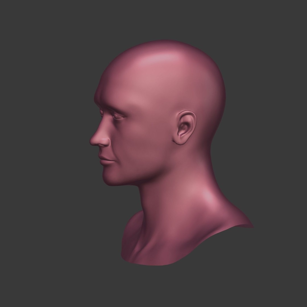 Realistic Man Head 3D Model – Low Poly Character Mesh, FBX - View 8