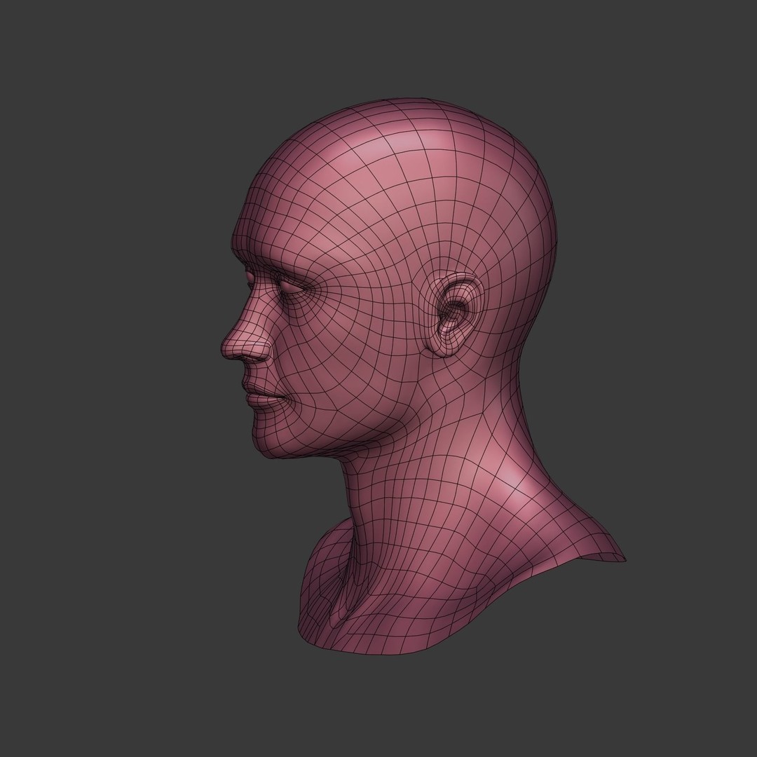 Realistic Man Head 3D Model – Low Poly Character Mesh, FBX - View 9