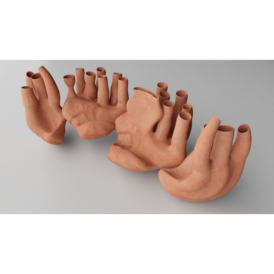 Endoplasmic Reticulum 3D Model – High Poly Rigged Asset for Animation - View 3