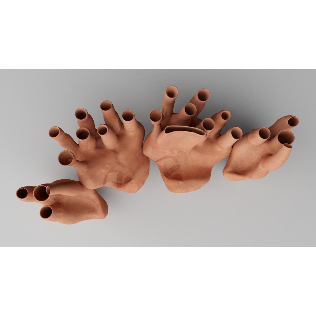 Endoplasmic Reticulum 3D Model – High Poly Rigged Asset for Animation - View 4