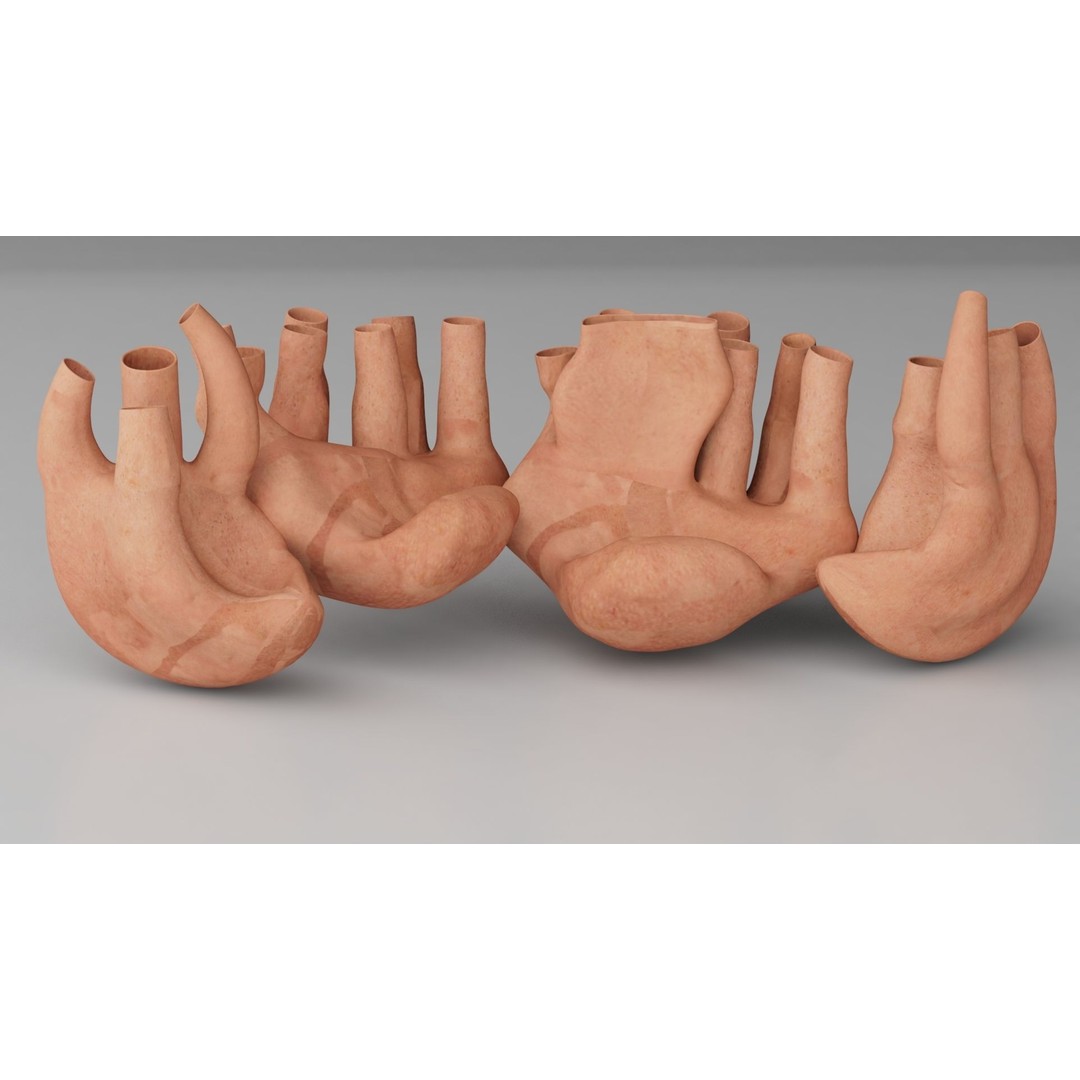 Endoplasmic Reticulum 3D Model – High Poly Rigged Asset for Animation - View 5
