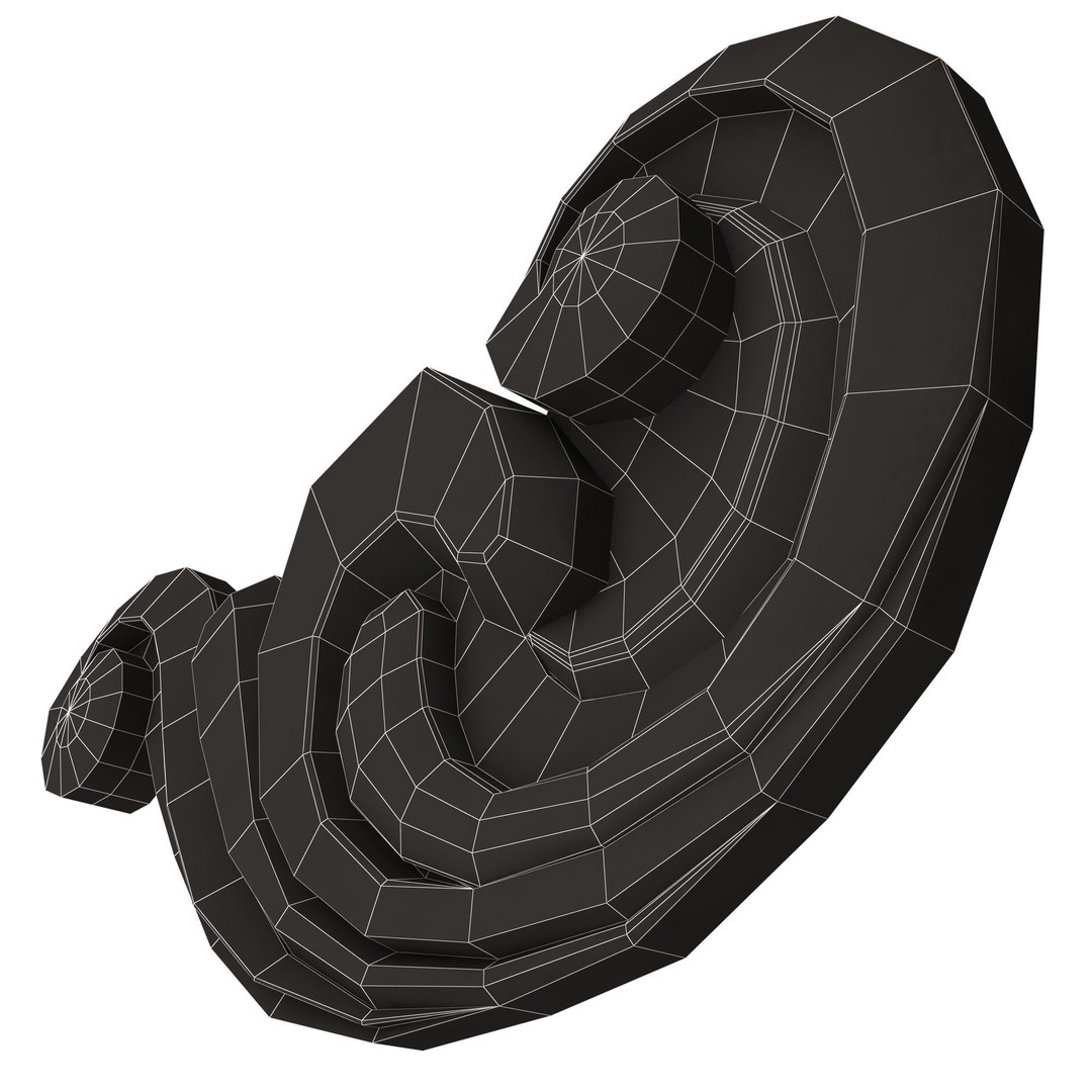 Carved Plaster Molding 3D Model – Low Poly Architectural Decoration, FBX, OBJ - View 10