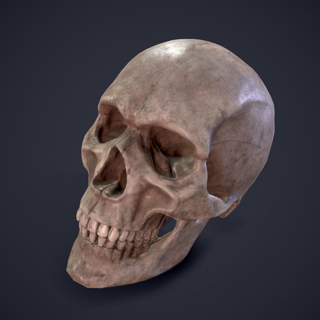 Medieval Props 3D Model – Low Poly Collection, FBX & OBJ Formats - View 70