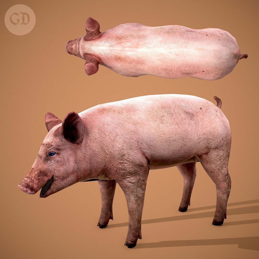 Medieval Props 3D Model – Low Poly Collection, FBX & OBJ Formats - View 72