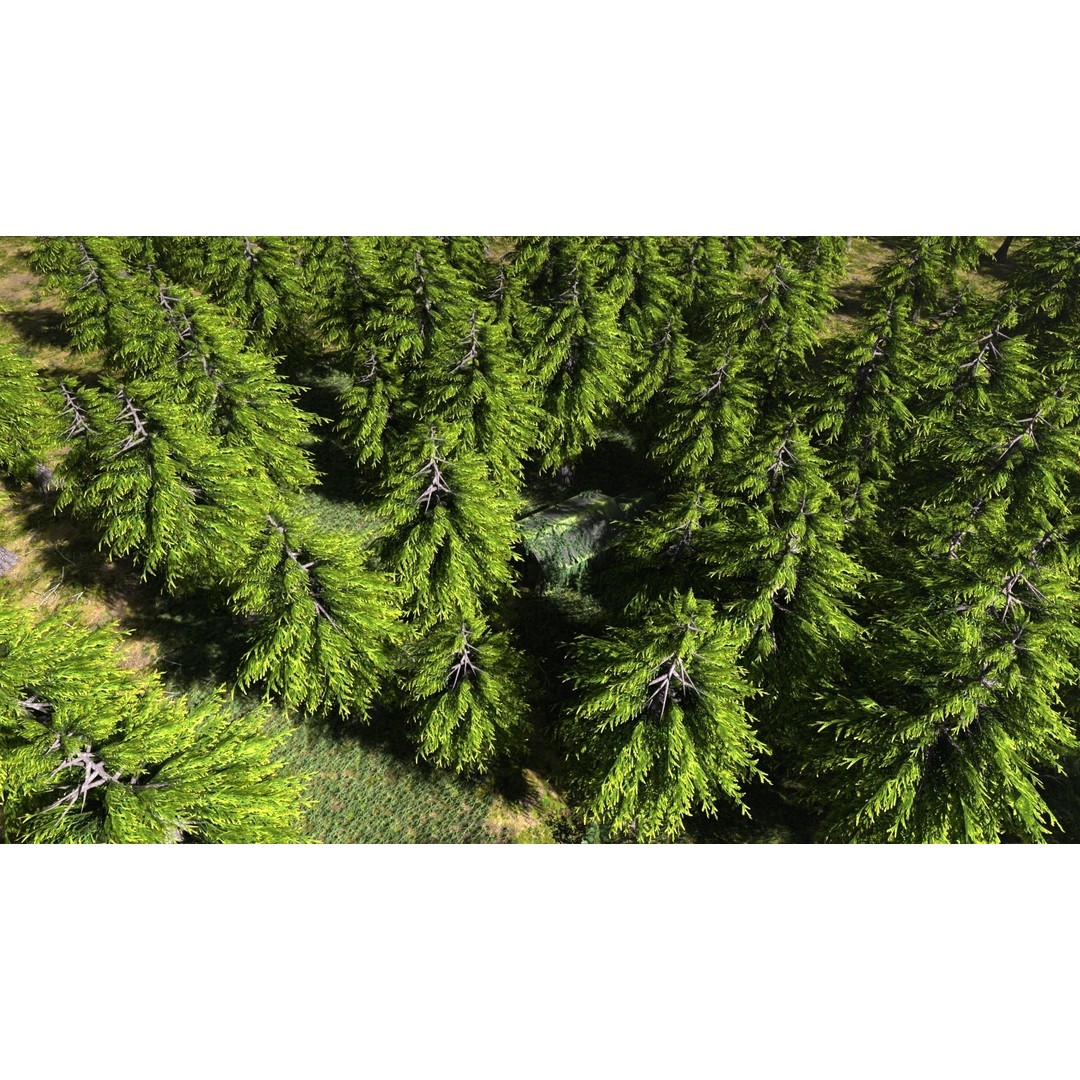Abandoned Shack 3D Model – High Poly Forest Scene, Blender, FBX, OBJ - View 8
