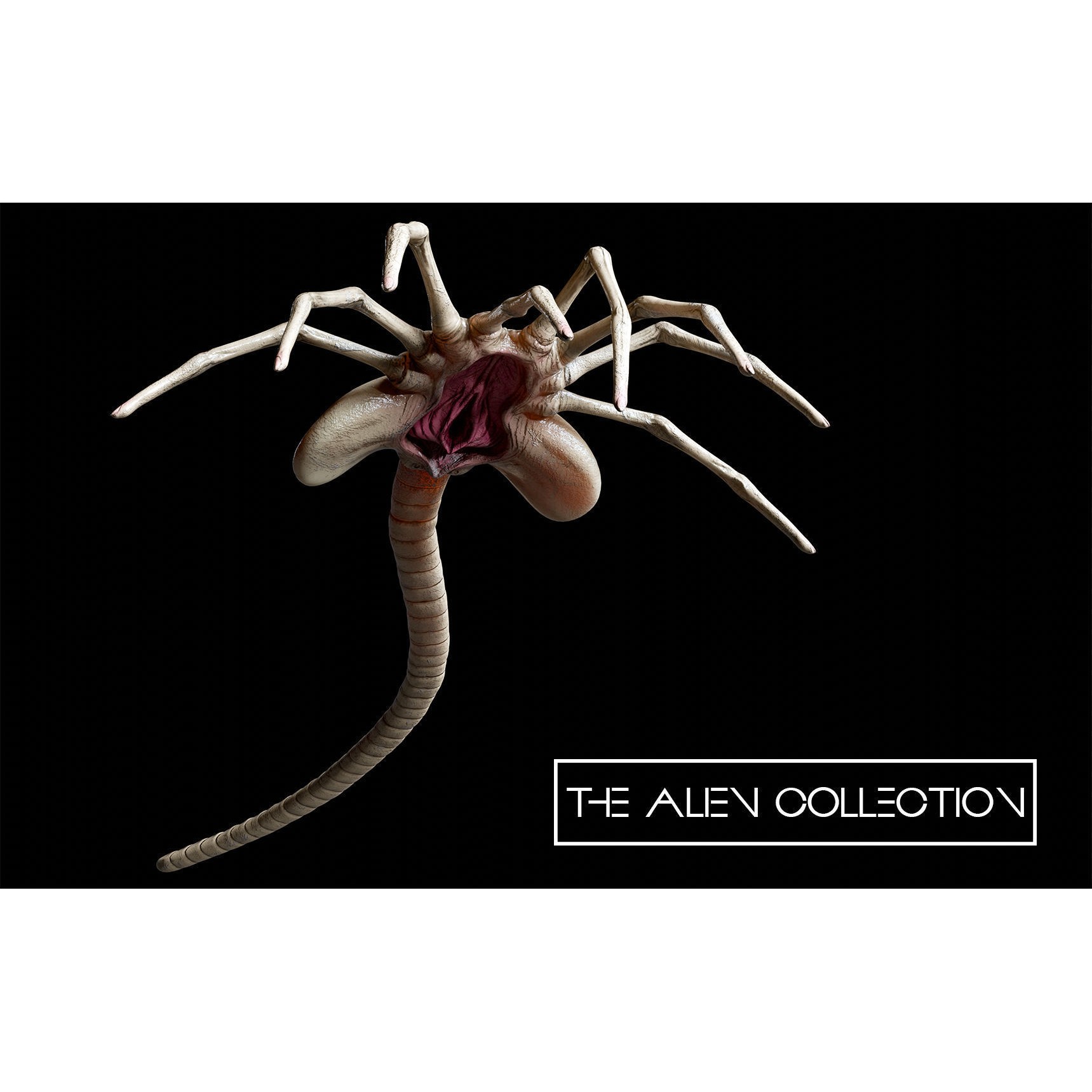 The Alien Collection - Low-Poly Game-Ready 3D Model - View 3