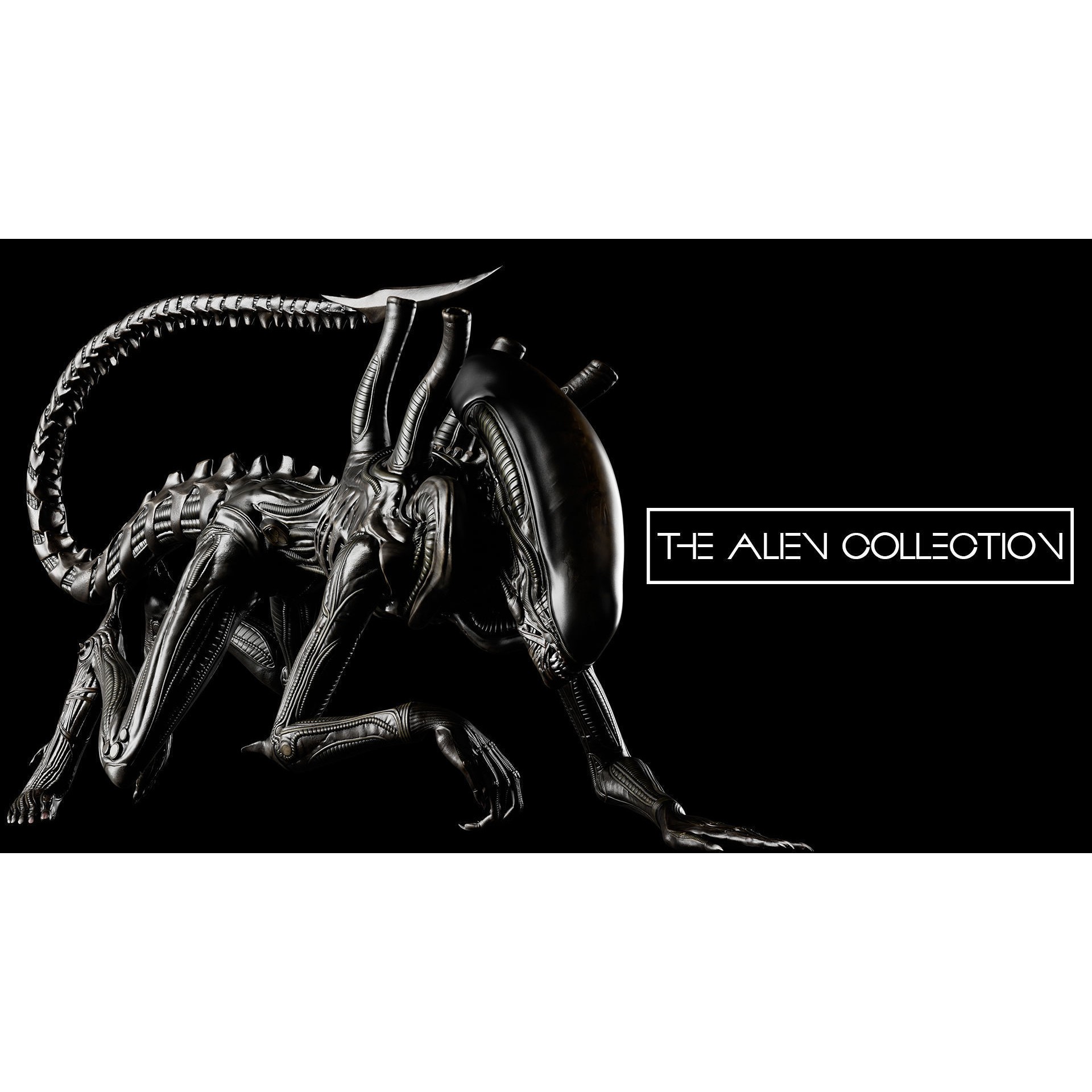 The Alien Collection - Low-Poly Game-Ready 3D Model - View 8