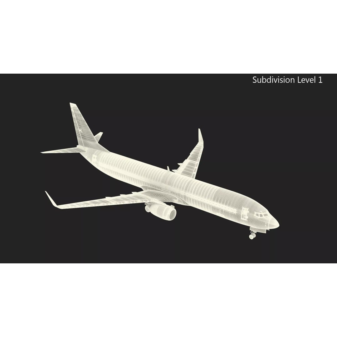 Boeing 737-900 3D Model – Rigged Commercial Aircraft with Interior - View 50