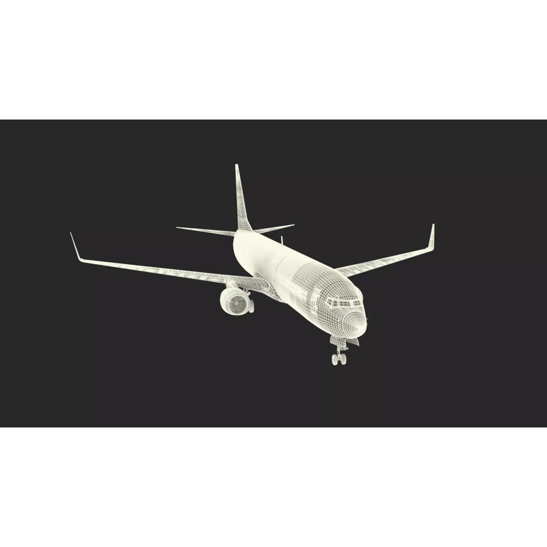 Boeing 737-900 3D Model – Rigged Commercial Aircraft with Interior - View 54