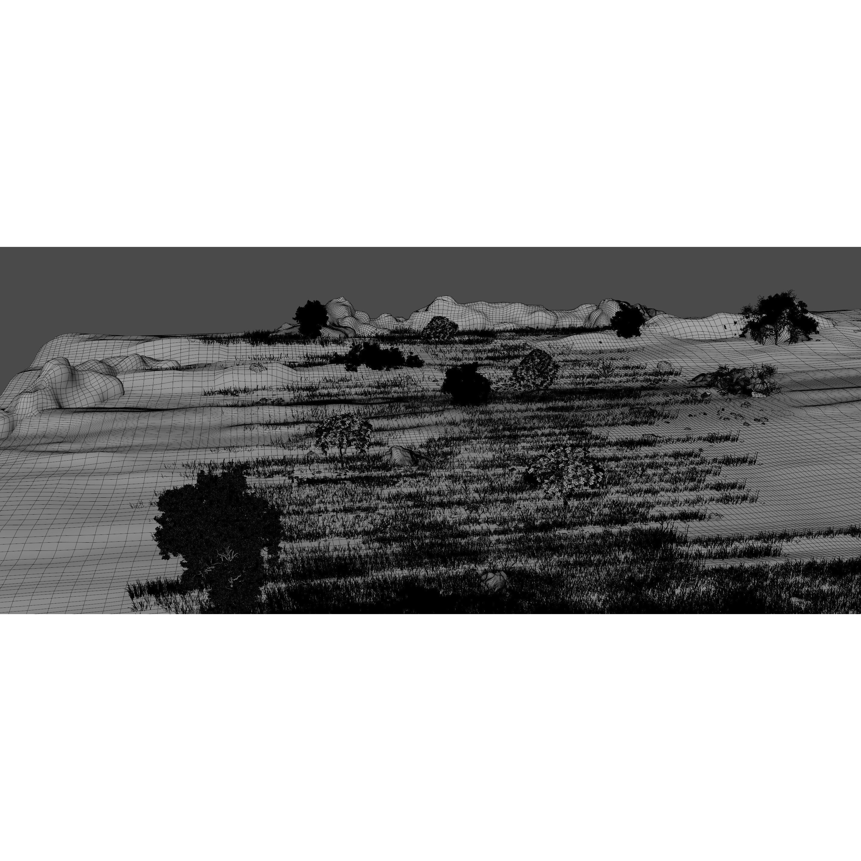 Savannah Environment - Game-Ready 3D Model