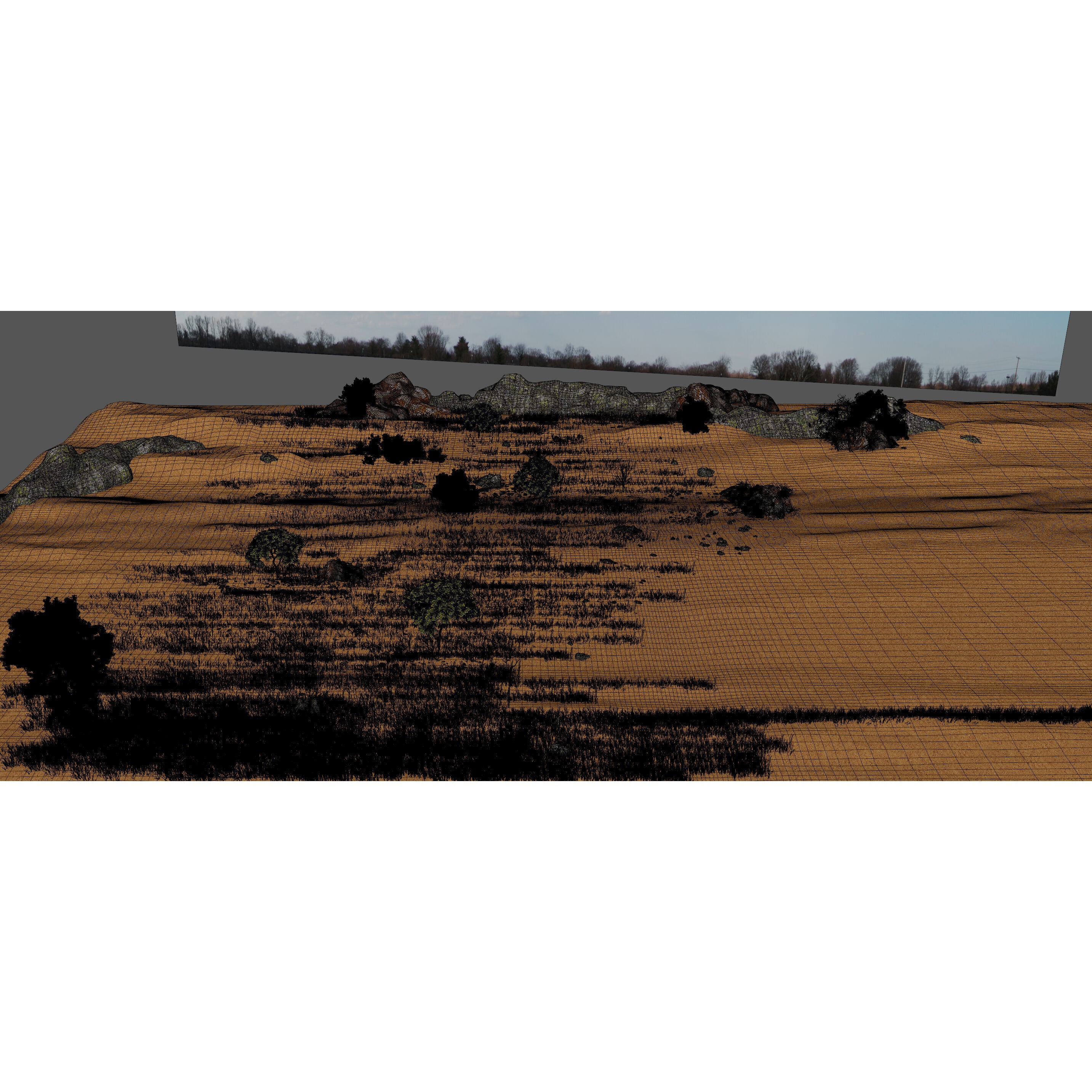 Savannah Environment - Game-Ready 3D Model - View 10