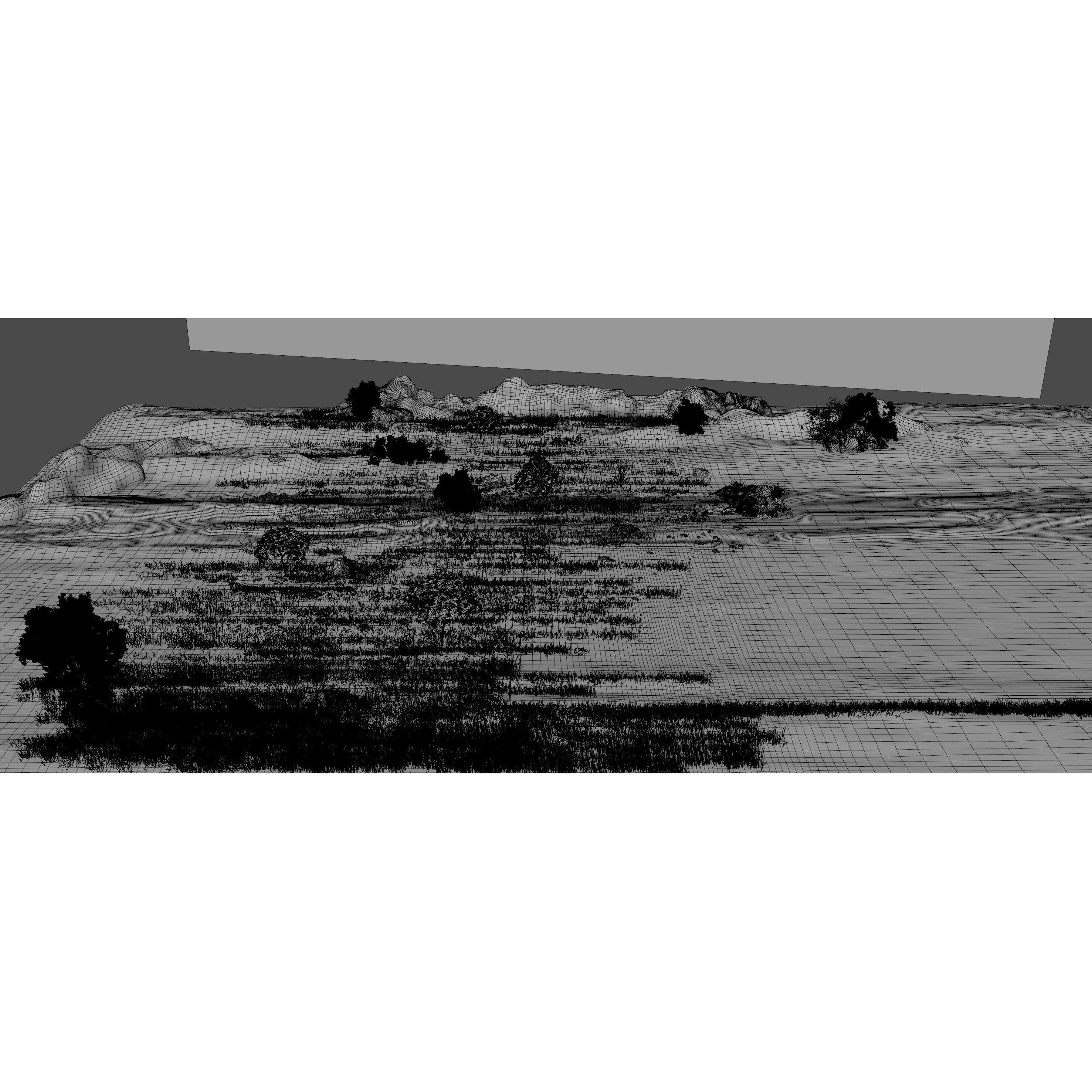 Savannah Environment - Game-Ready 3D Model - View 11