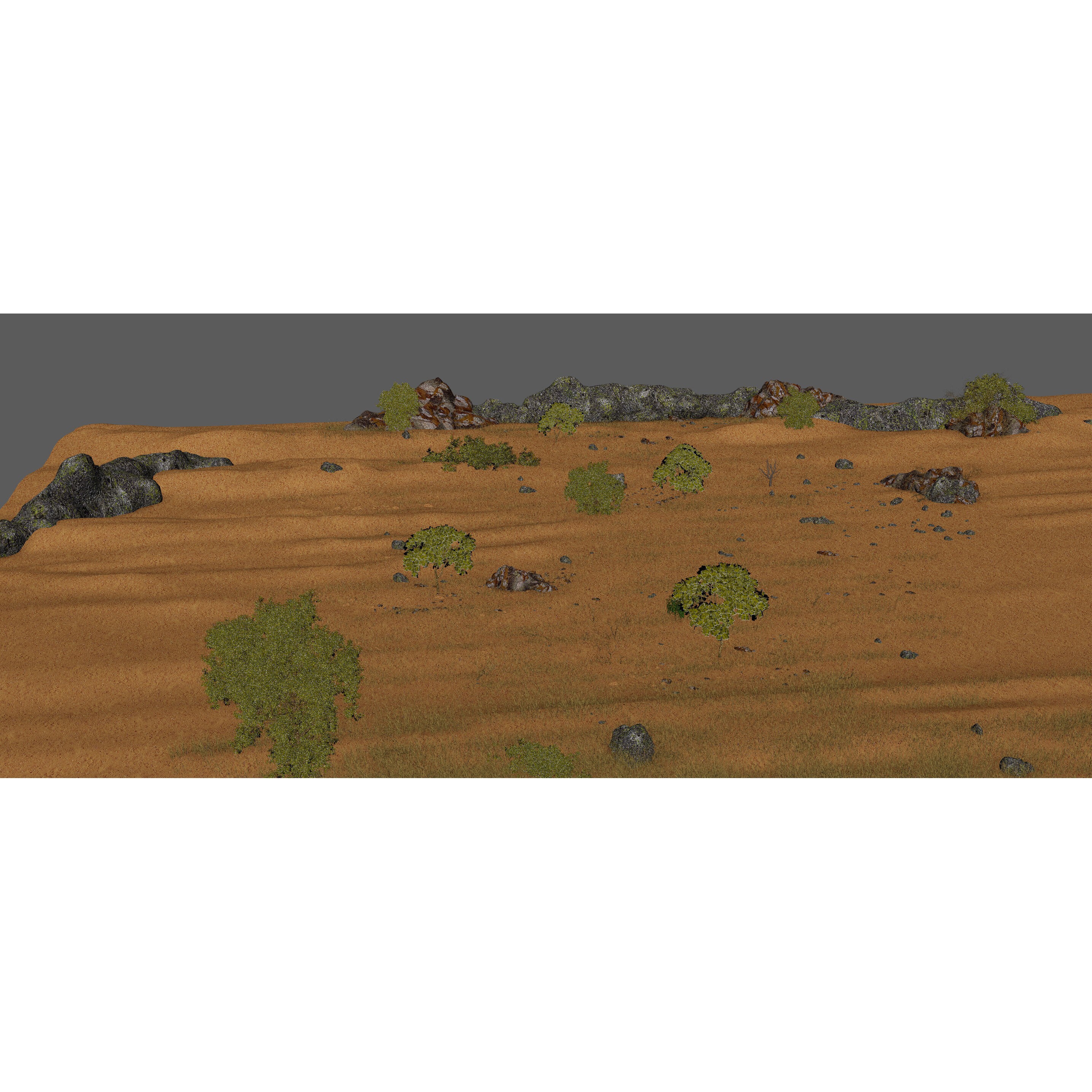 Savannah Environment - Game-Ready 3D Model - View 12