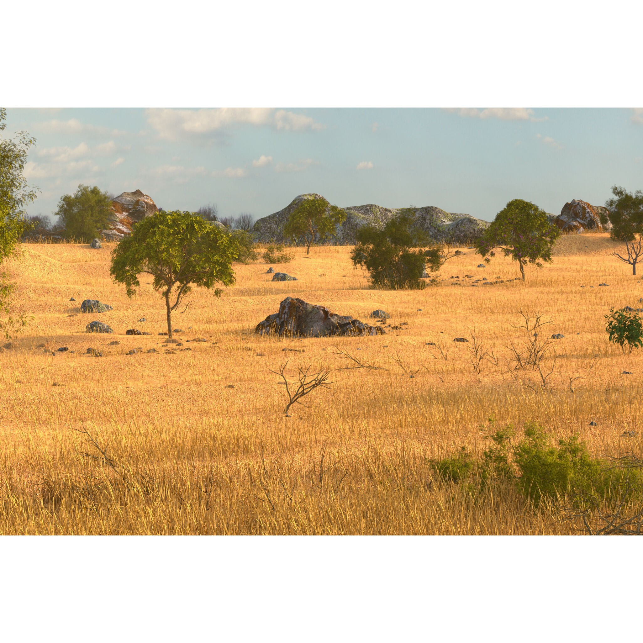 Savannah Environment - Game-Ready 3D Model - View 4