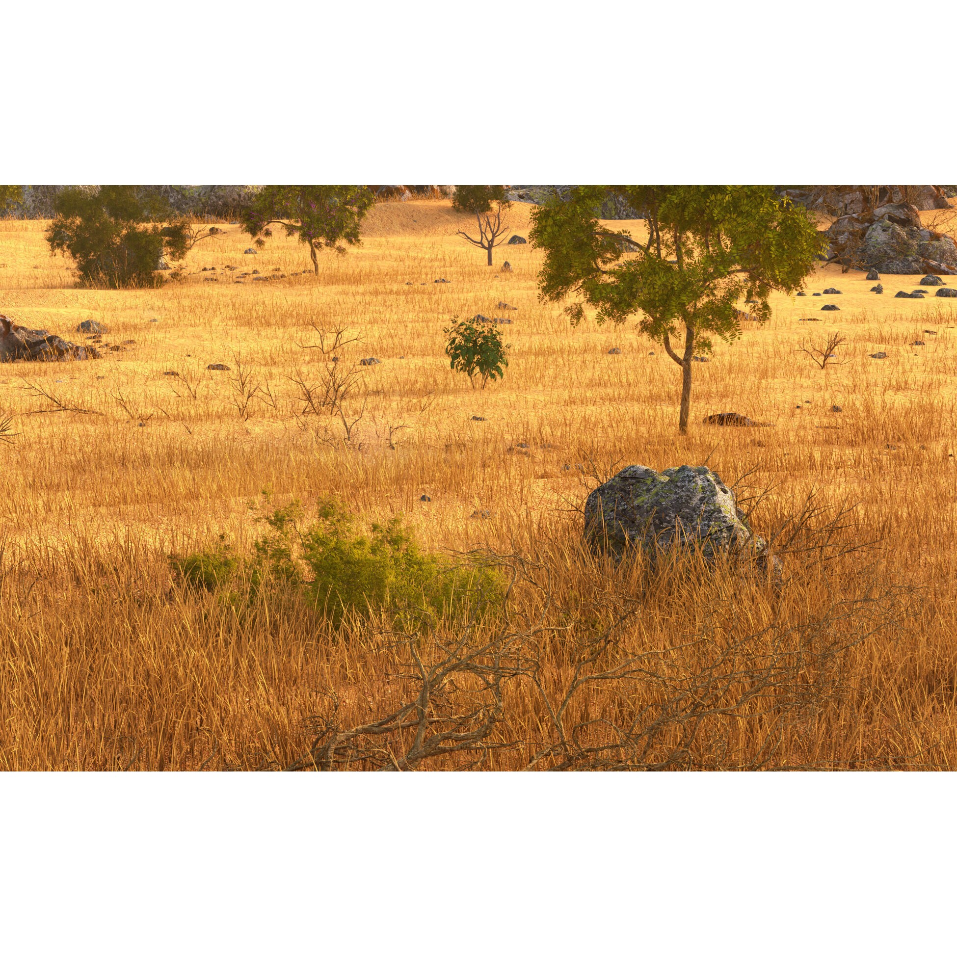 Savannah Environment - Game-Ready 3D Model - View 5