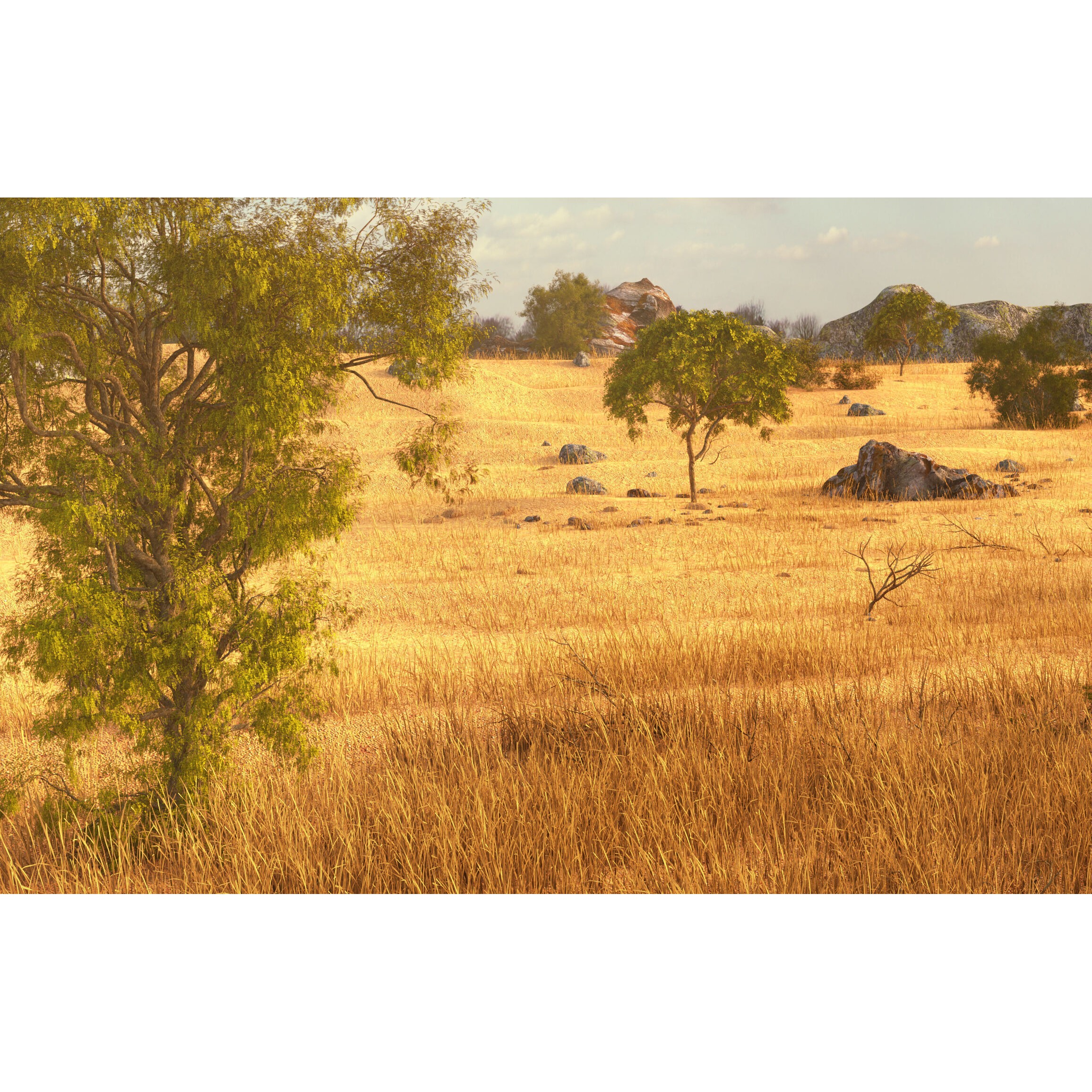 Savannah Environment - Game-Ready 3D Model - View 6