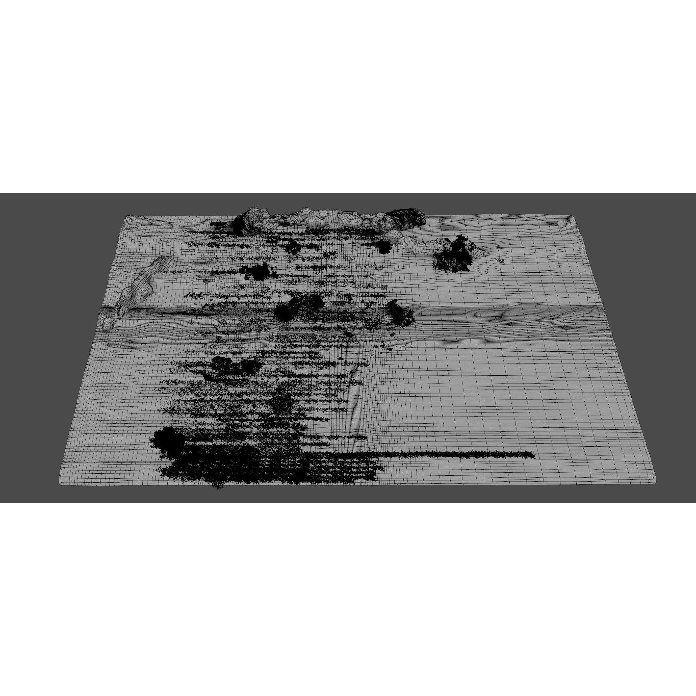 Savannah Environment - Game-Ready 3D Model - View 8