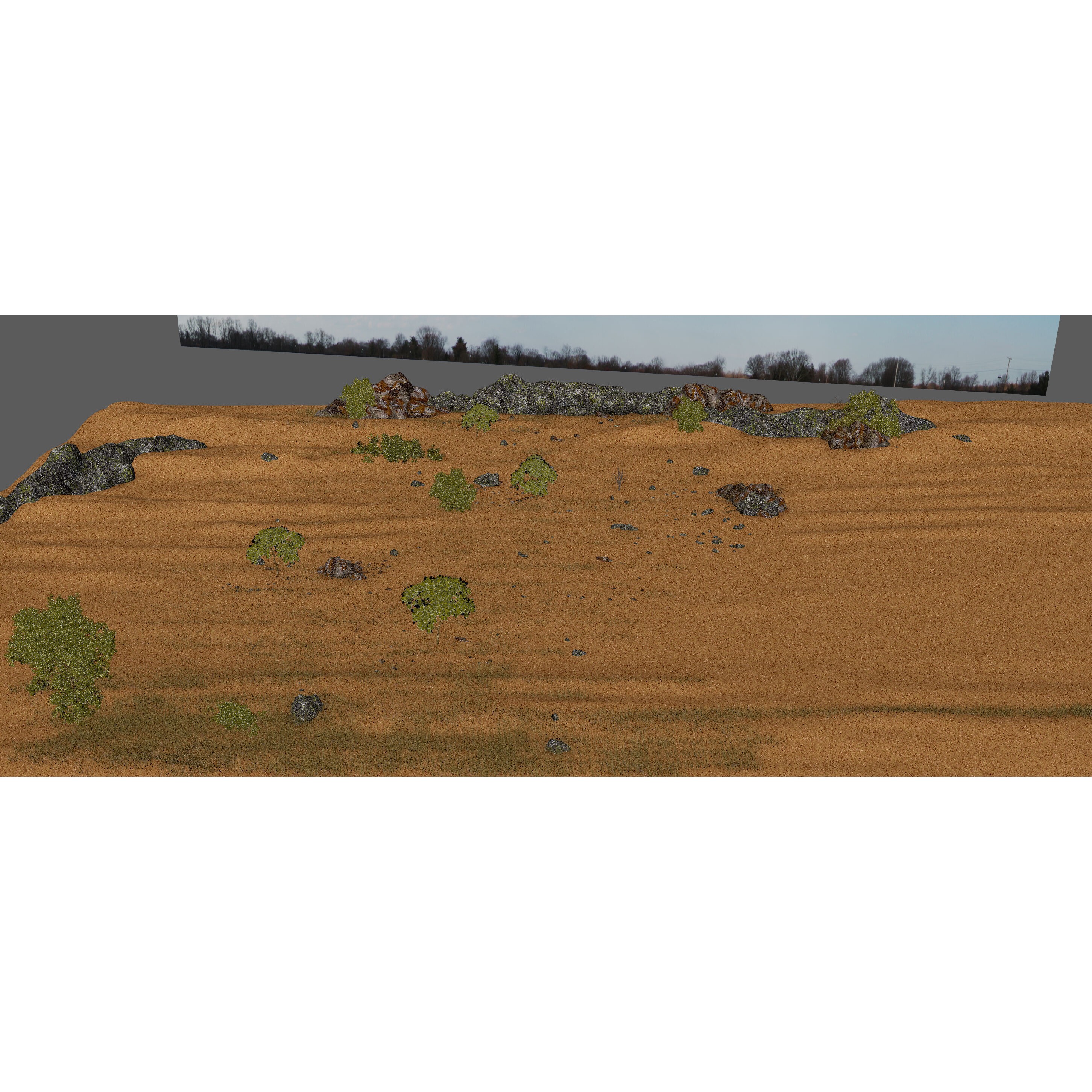 Savannah Environment - Game-Ready 3D Model - View 9