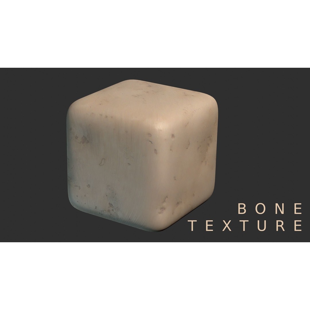 Human Male Skeleton 3D Model – Low Poly Anatomical Asset, FBX/OBJ - View 9