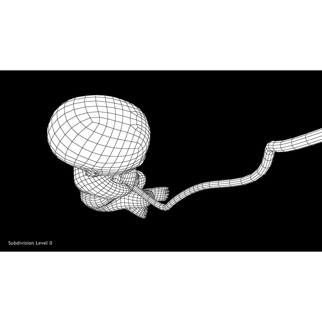 24 Weeks Human Fetus 3D Model – Low Poly Medical Asset, FBX, OBJ - View 11