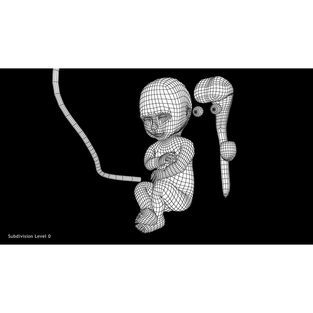24 Weeks Human Fetus 3D Model – Low Poly Medical Asset, FBX, OBJ - View 13