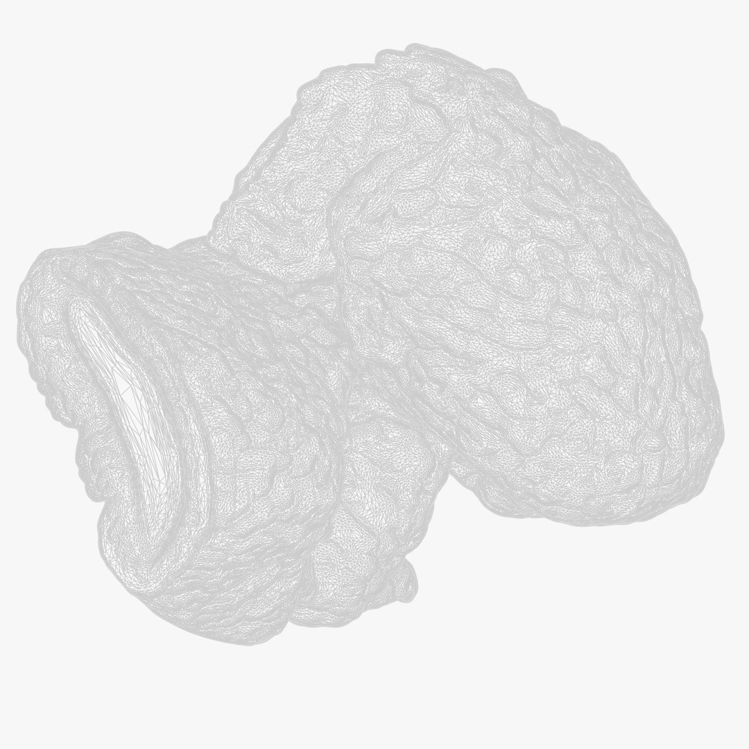 Cylindrical Epithelium of the Gallbladder 3D Model – Detailed Medical Anatomy, FBX - View 8