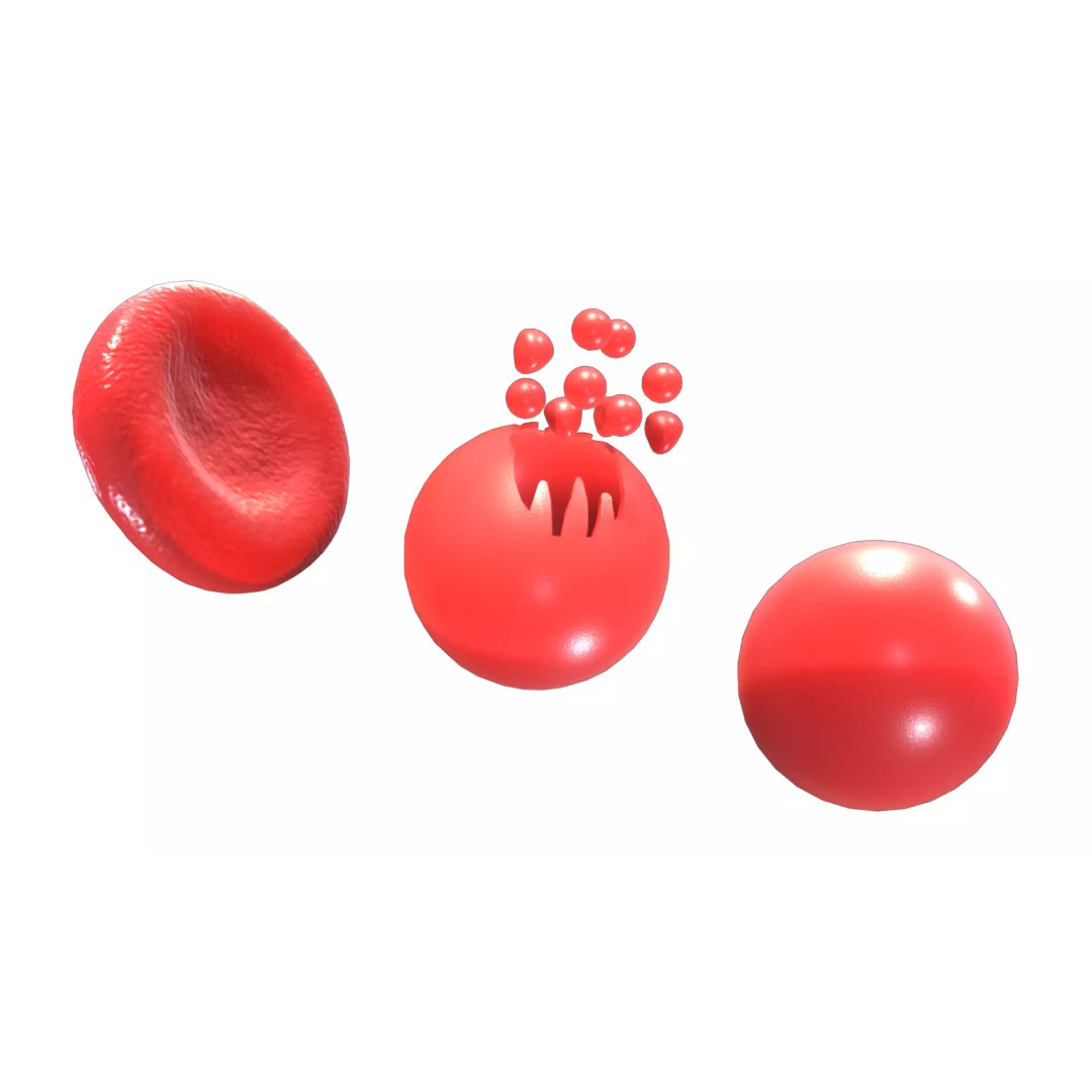 Hemolysis 3D Model – PBR Medical Asset, FBX, OBJ, Blender - View 3