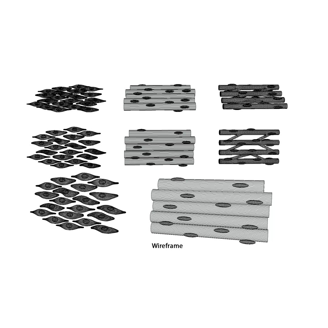 Types of Muscle Tissue 3D Model – PBR Medical Asset, FBX, OBJ, Blender