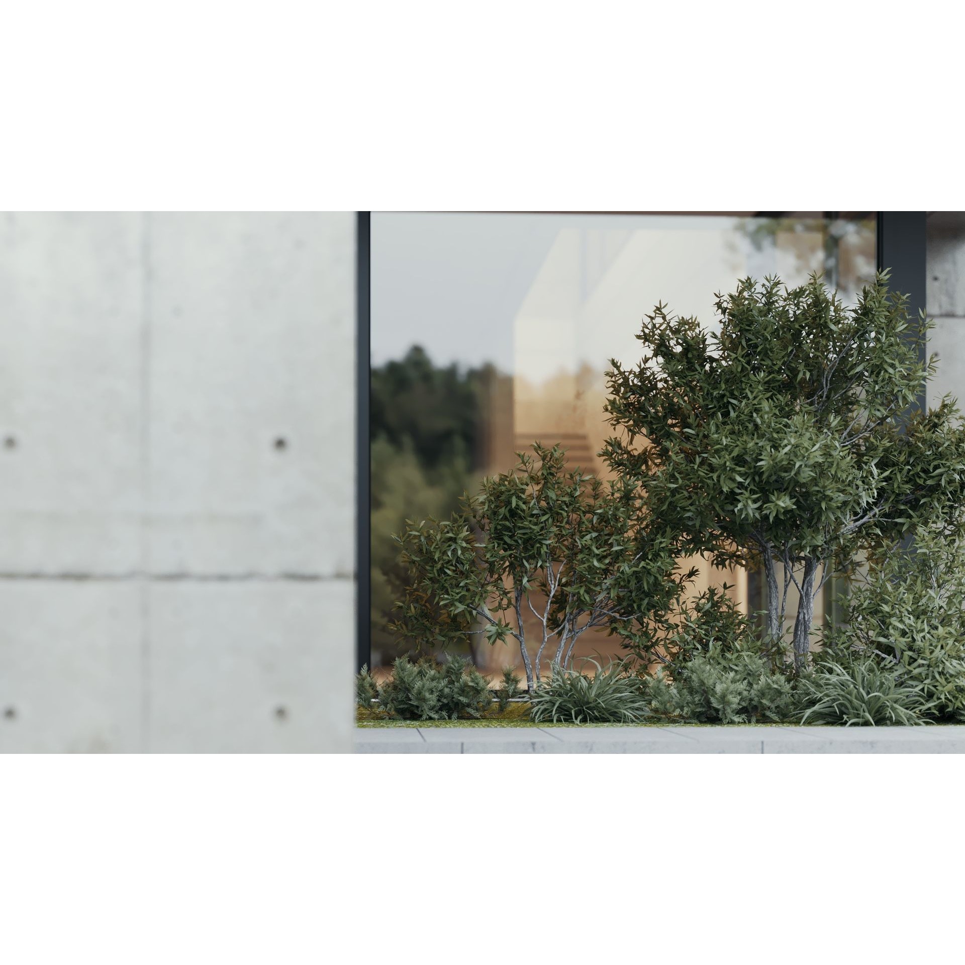 Villa Concrete - Architectural 3D Model - View 11