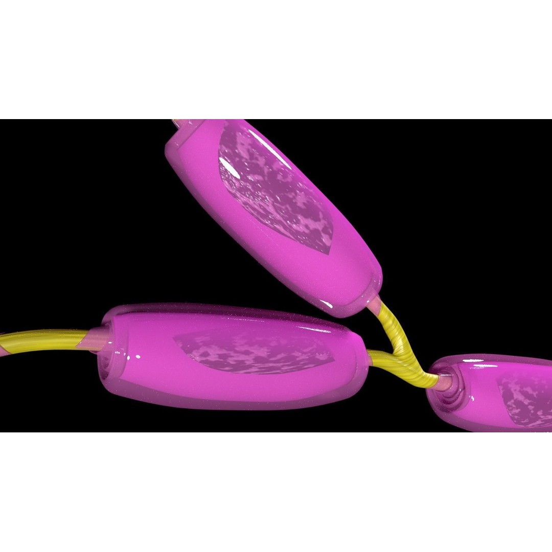 Neuron Axon 3D Model – Detailed Medical Asset, Blender, FBX, OBJ - View 13