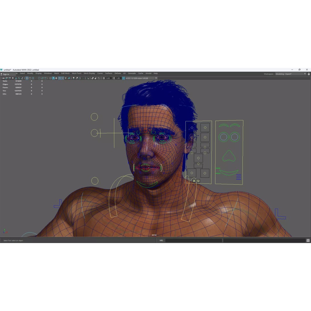 Realistic Male Character 3D Model – Low Poly Game-Ready, FBX & Blender - View 21