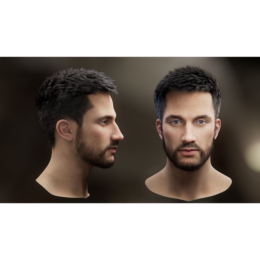 Hair Card 3D Model – Realistic Hairstyles Collection, Blender & OBJ - View 20