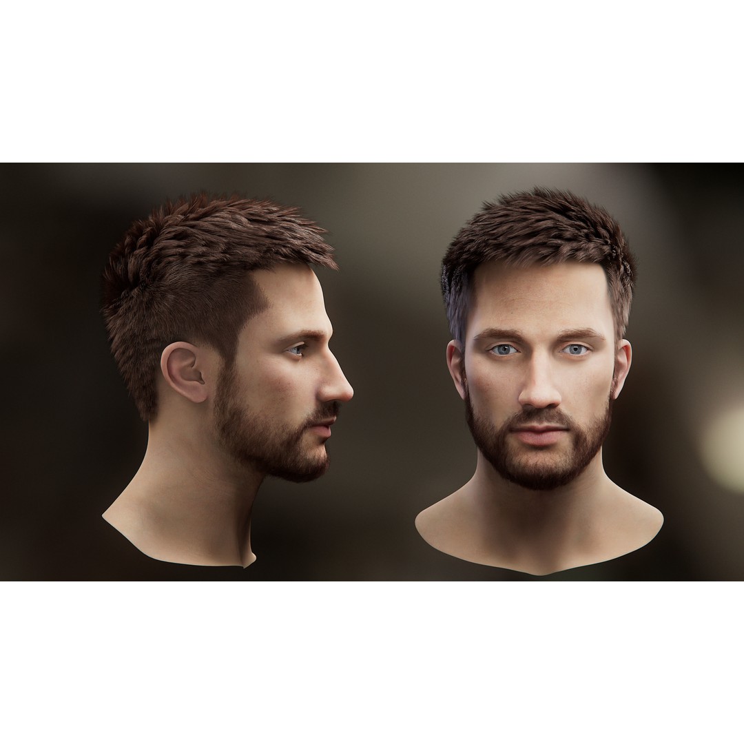 Hair Card 3D Model – Realistic Hairstyles Collection, Blender & OBJ - View 21
