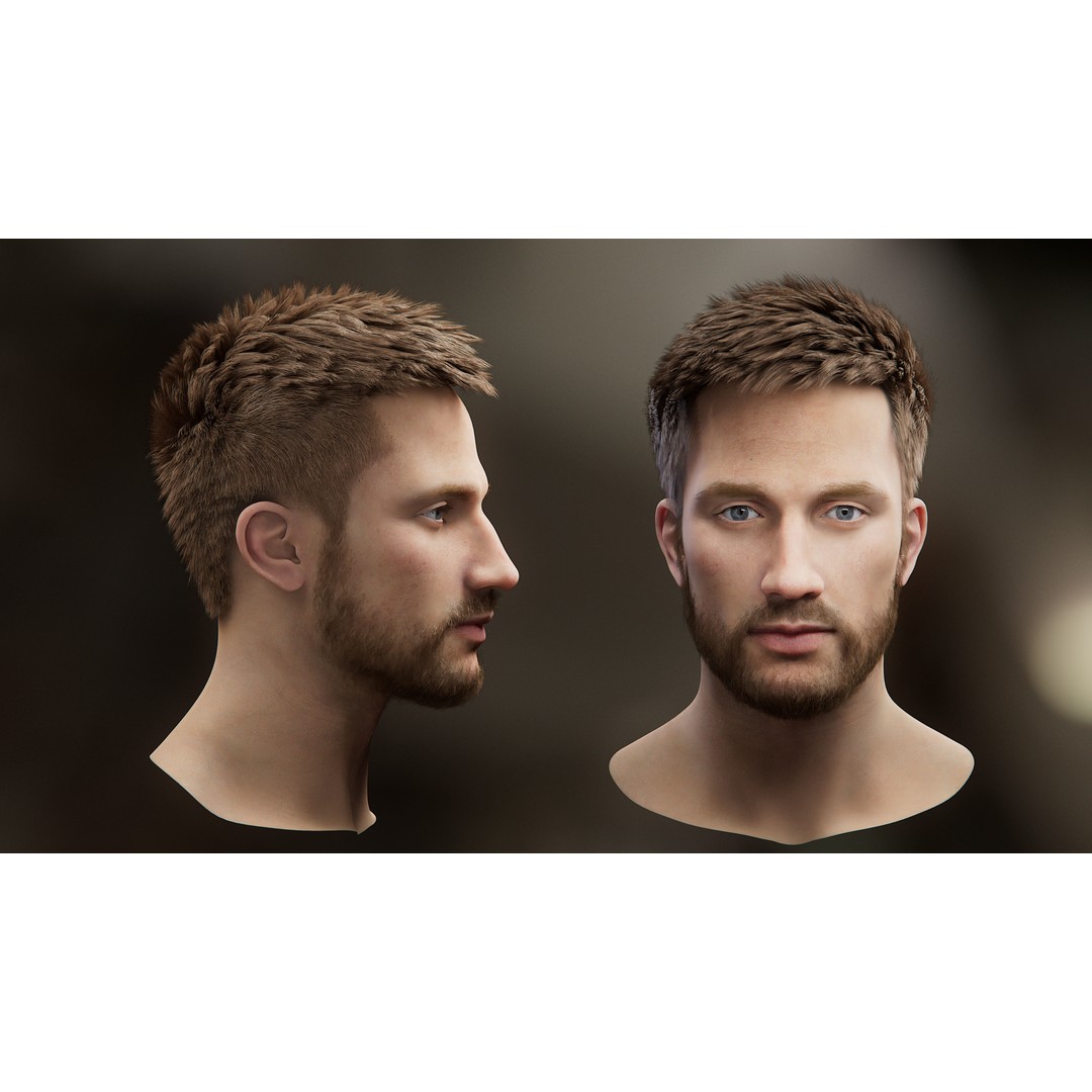 Hair Card 3D Model – Realistic Hairstyles Collection, Blender & OBJ - View 22