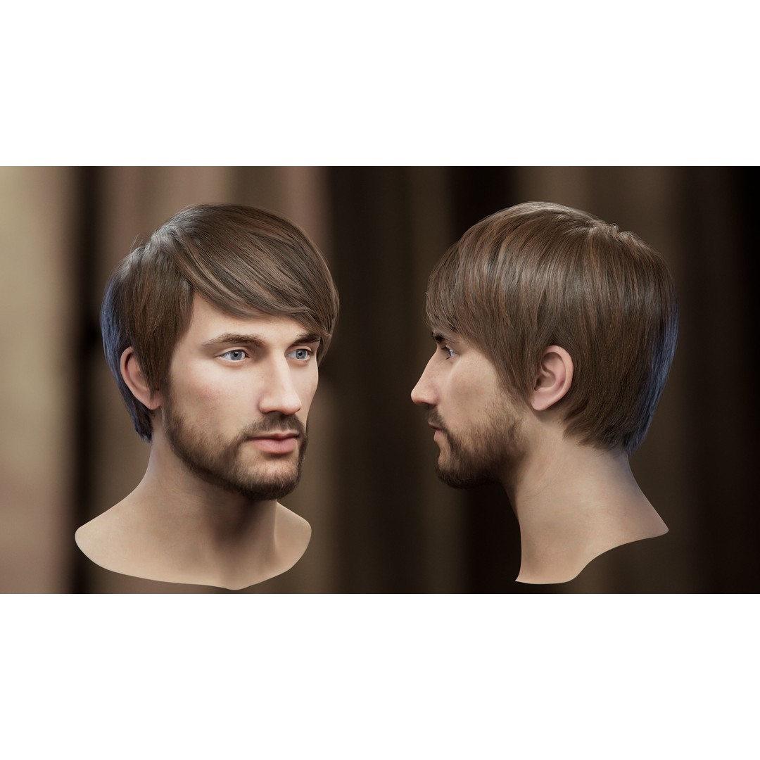 Hair Card 3D Model – Realistic Hairstyles Collection, Blender & OBJ - View 3