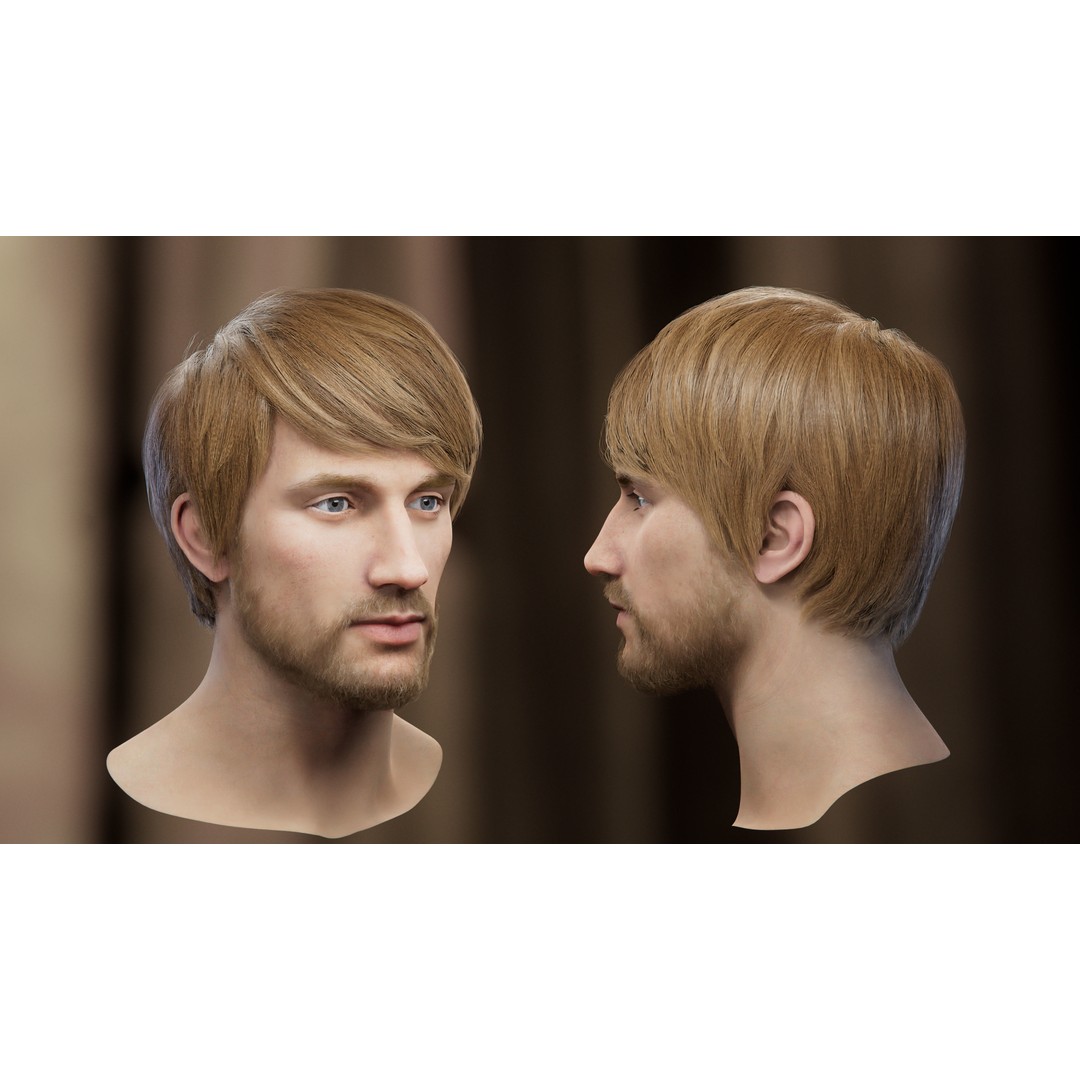 Hair Card 3D Model – Realistic Hairstyles Collection, Blender & OBJ - View 4