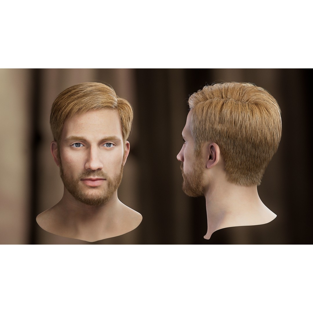 Hair Card 3D Model – Realistic Hairstyles Collection, Blender & OBJ - View 7