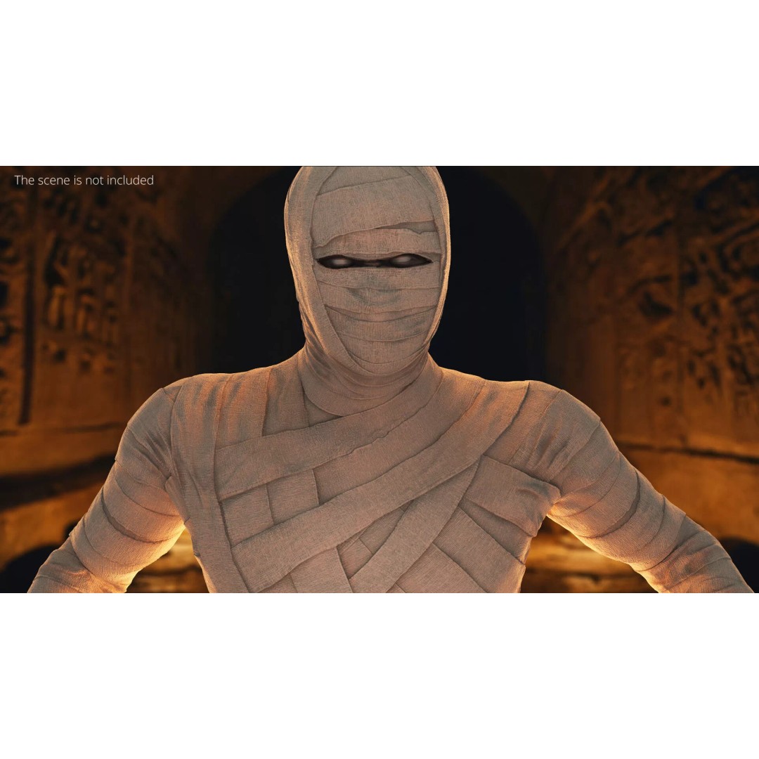 Mummy 3D Model – Rigged Character in Clean Bandage, FBX & OBJ - View 4