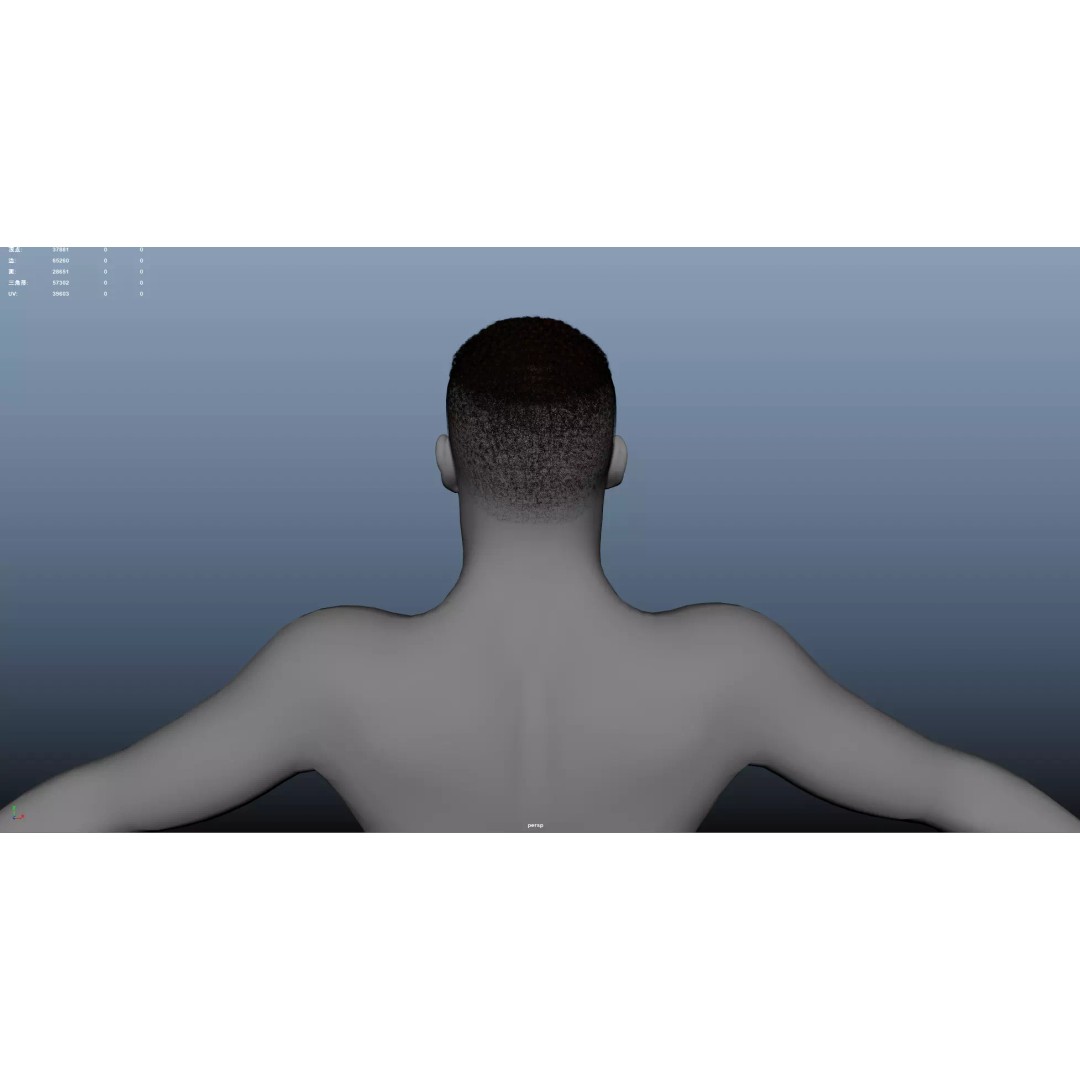 African Character Hair 3D Model – Low-Poly Male Wig, FBX - View 10