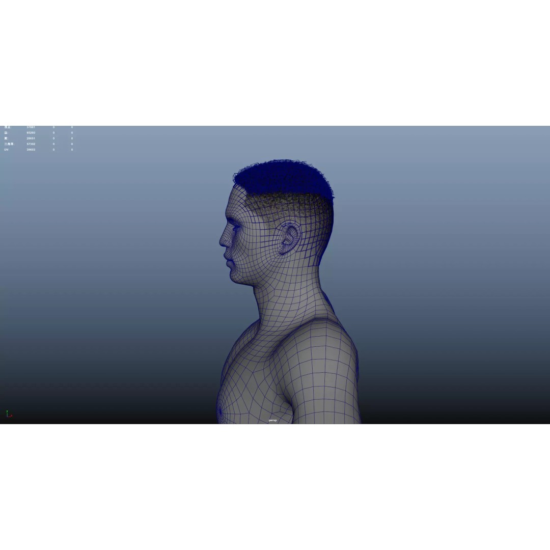 African Character Hair 3D Model – Low-Poly Male Wig, FBX - View 11