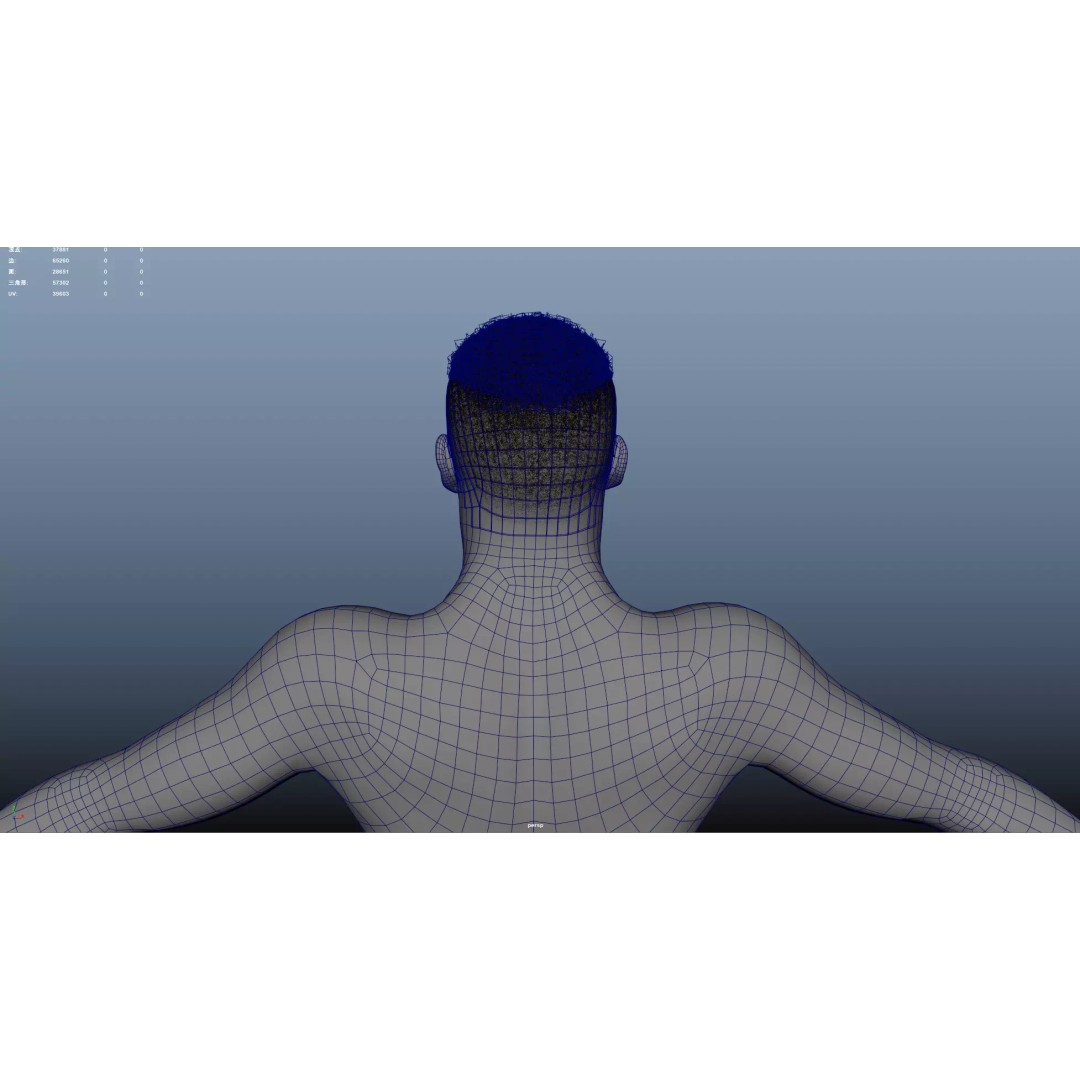 African Character Hair 3D Model – Low-Poly Male Wig, FBX - View 12
