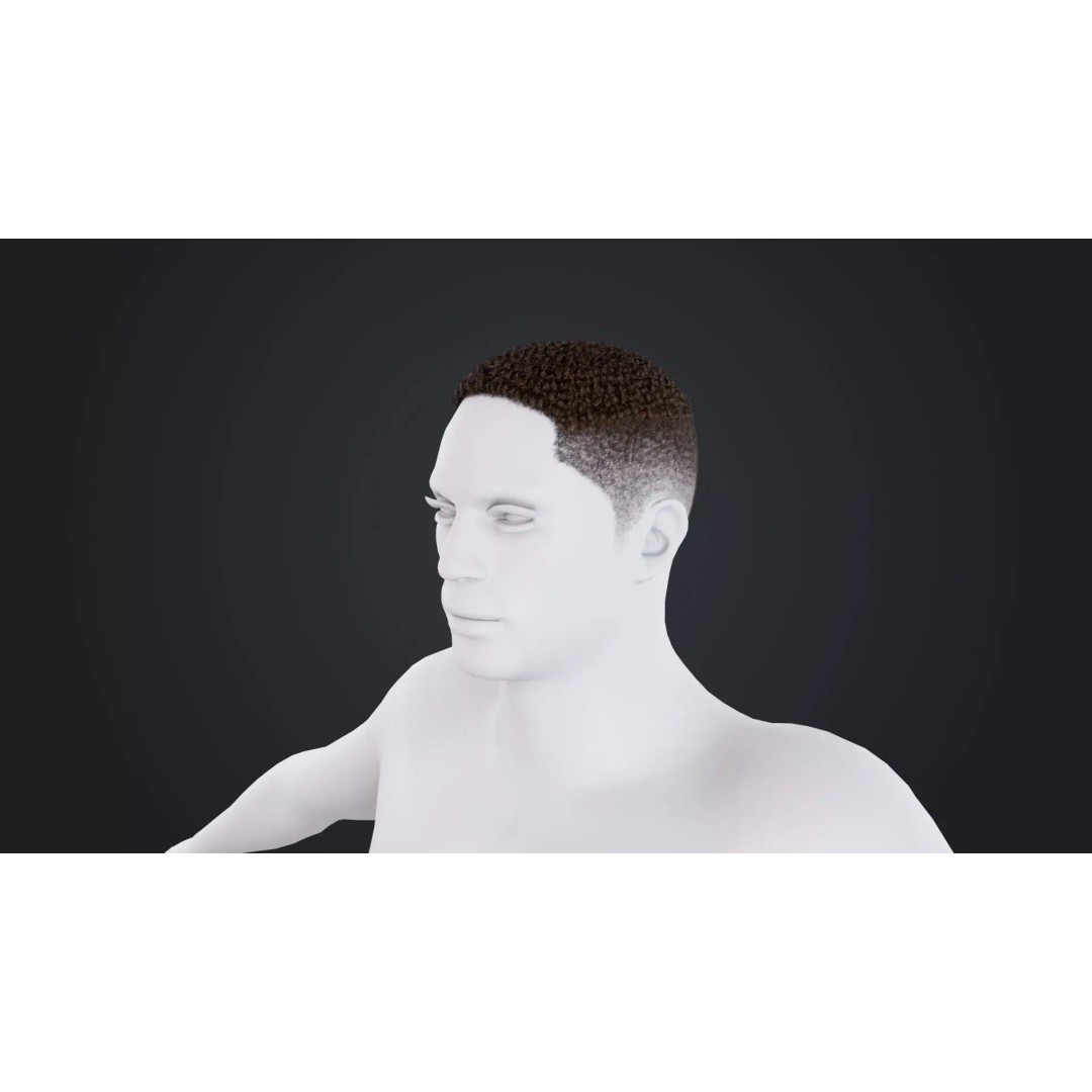 African Character Hair 3D Model – Low-Poly Male Wig, FBX - View 2
