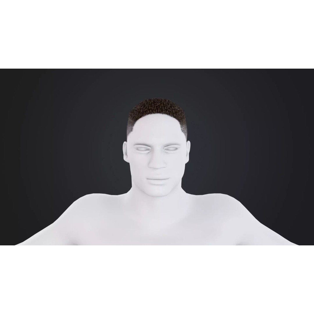African Character Hair 3D Model – Low-Poly Male Wig, FBX - View 3